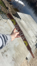 Sunflower Trails Collar
